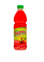 QUANTY BEBIDA PONCHE DE FRUTAS 500ML